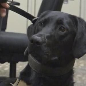 Meet your Posher, Brett